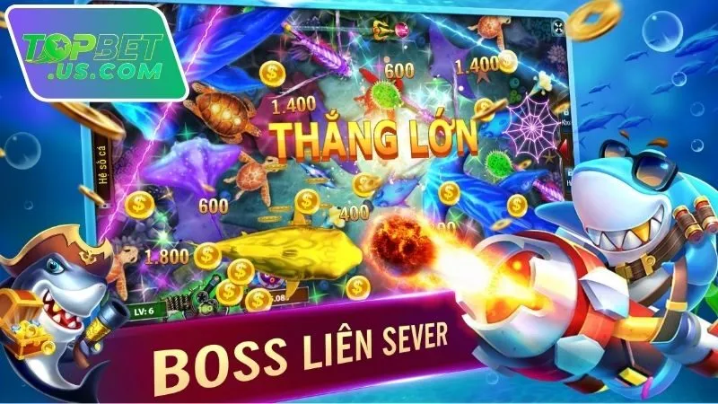 Cách Chọn Sảnh Bắn Cá Dễ Thắng - Bí Quyết Tăng Tỷ Lệ Thắng 5 cach-chon-sanh-ban-ca-de-thang